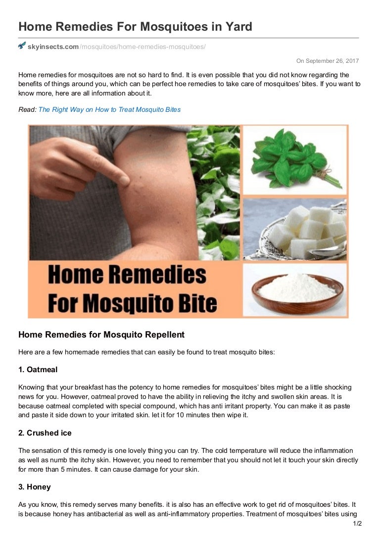 Folk remedies for mosquitoes Folk remedies for mosquitoes